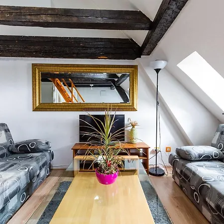 Appartements Paola, Pamela, Patricia Et Pascale Strasbourg Exterior photo